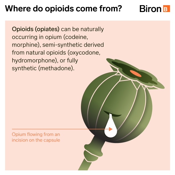 Where Do Opiates Come From?